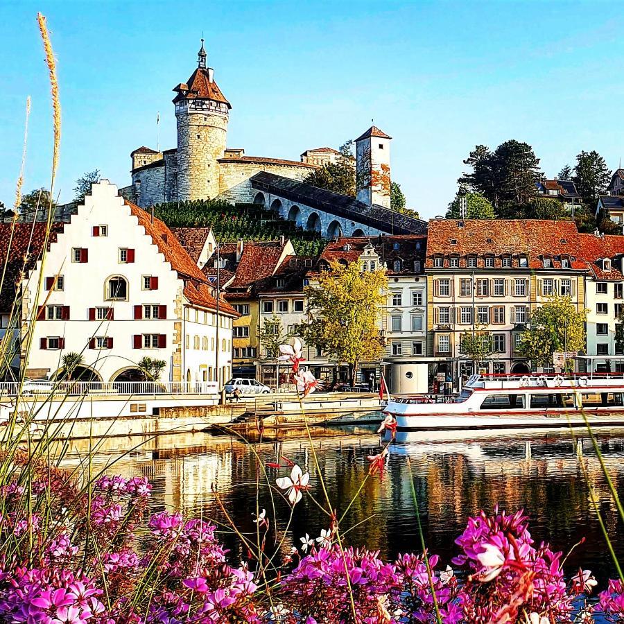 Apartment Suedwind - Beautiful Premium Apartment With 2 Bedrooms Near Rhine Falls & Zurich Airport In Klettgau Weisweil  Esterno foto